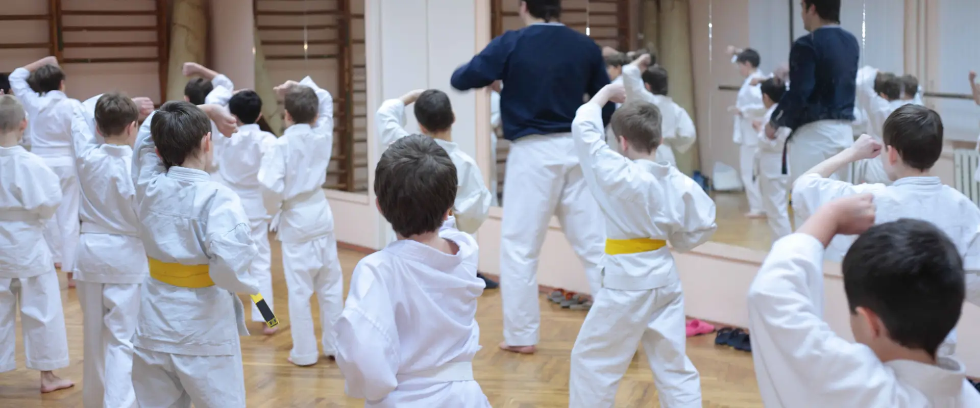 Wado-Ryu