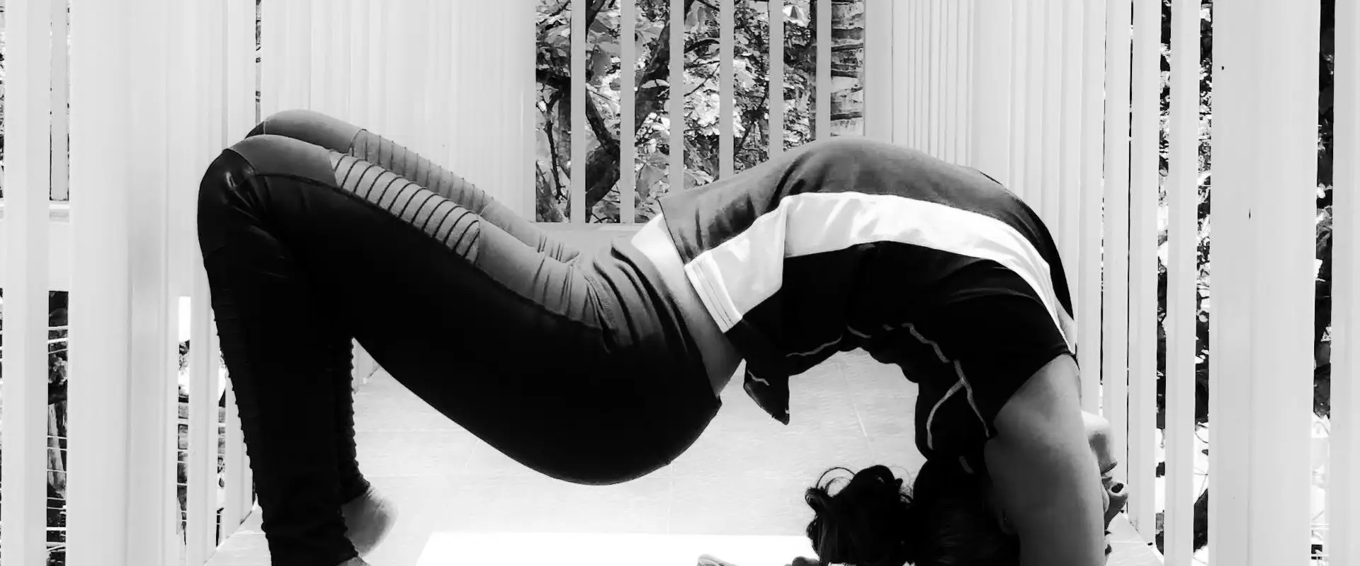 Yogakalpa