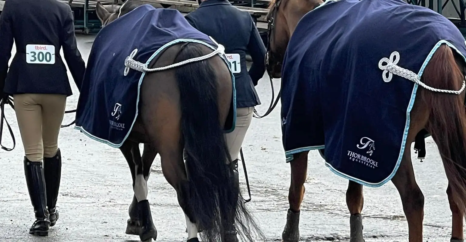 Thorbrooke Equestrian