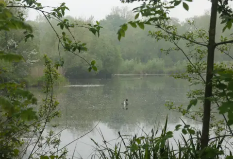 Gipping Angling Preservation Society