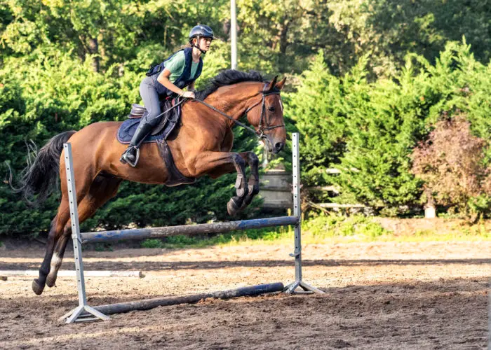 Centre Équestre Arbonne Équitation