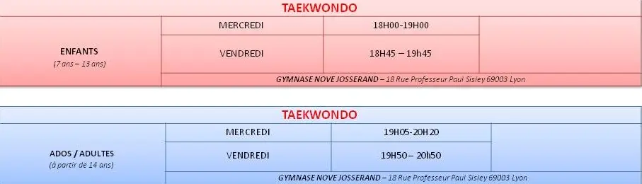 Baraban Taekwondo Lyon 3