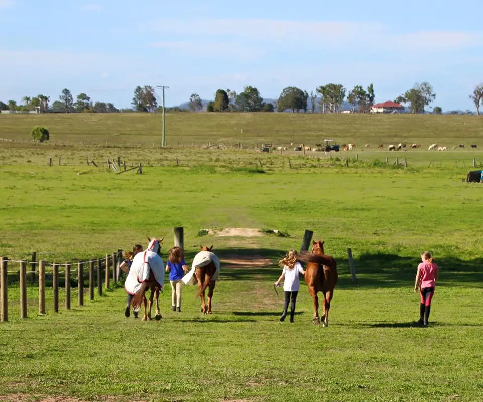 Sundown Lodge Equestrian