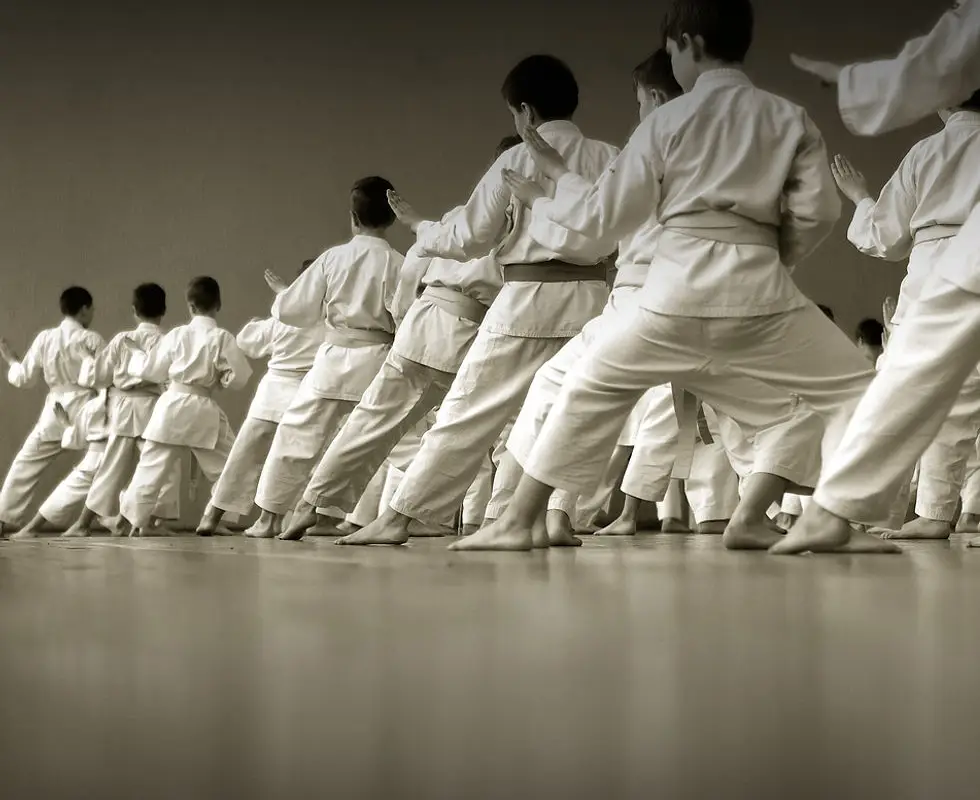 Capicio Zen Karate and Kickboxing