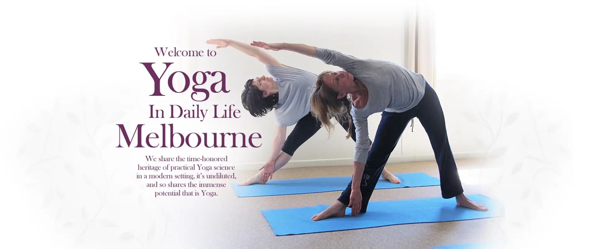 Yoga in Daily Life Pascoe Vale