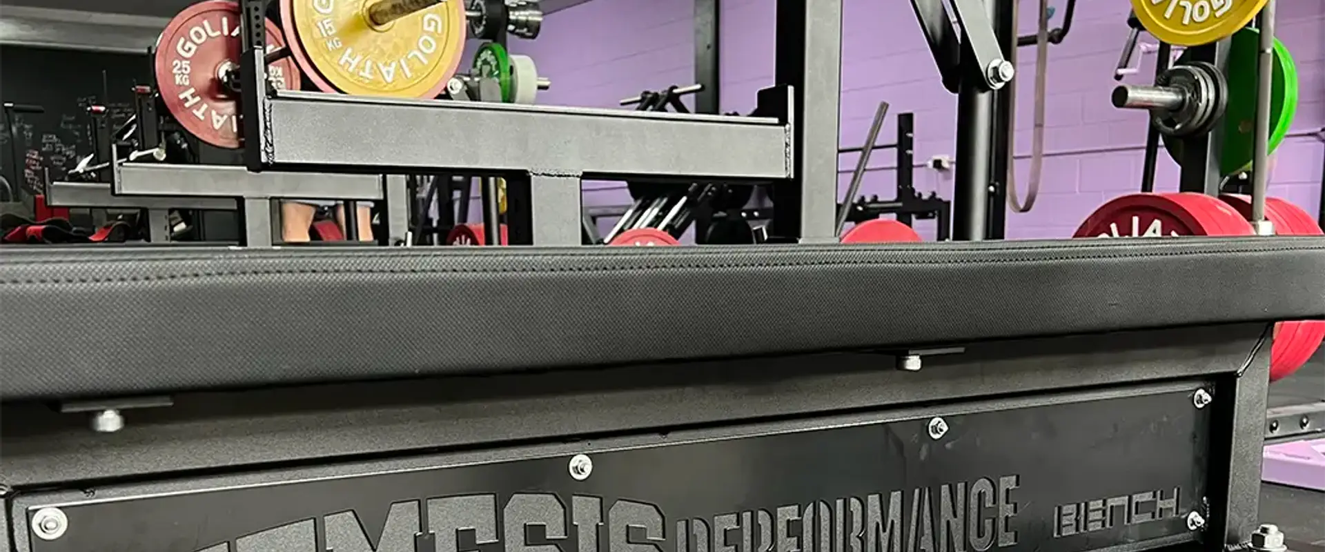 Nemesis Performance