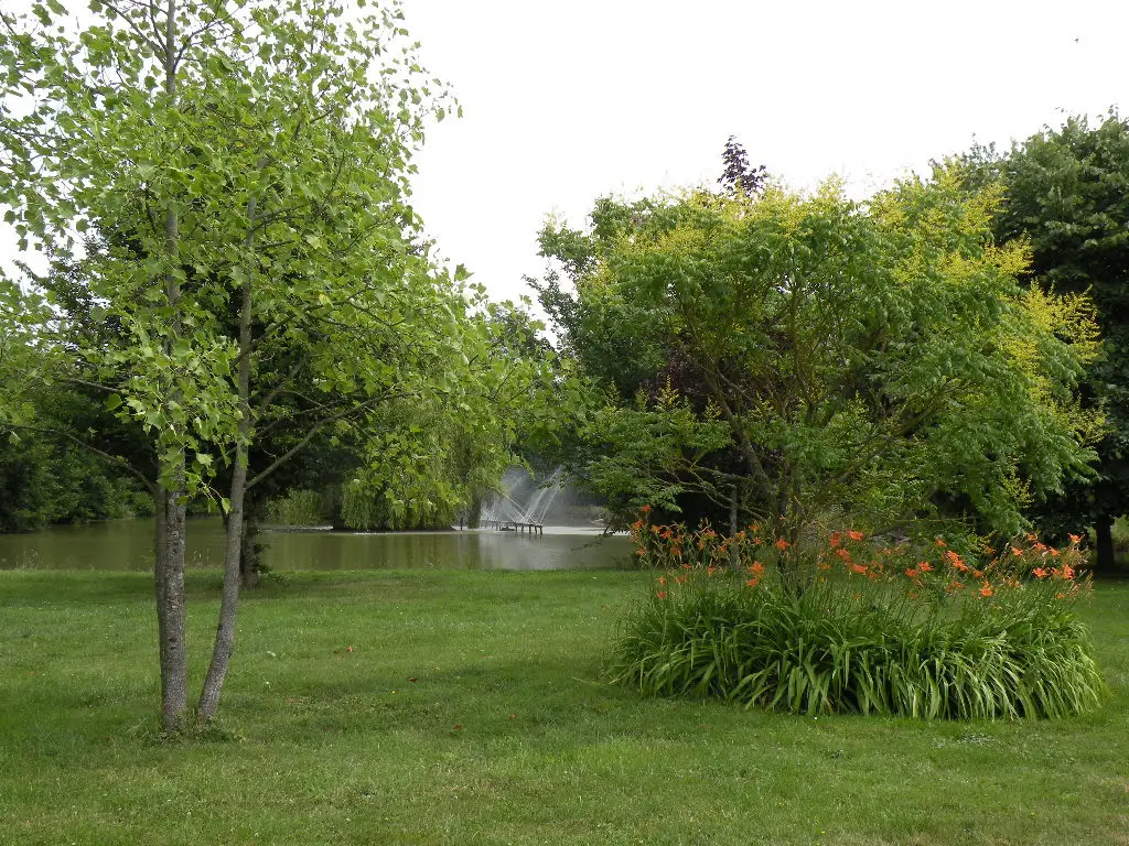 Baignade Naturelle