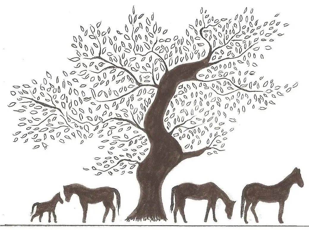 Denton Hall Riding School