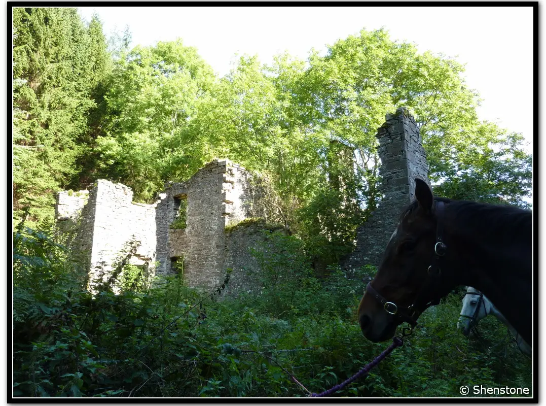 Ellesmere Riding & Trekking Centre