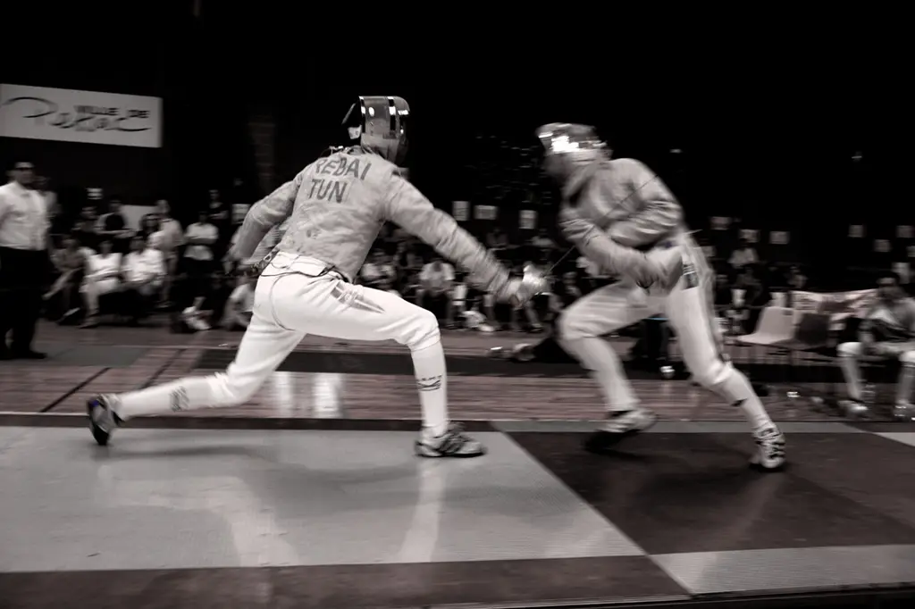 Academy Sabre Laser De Pessac