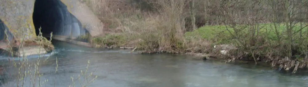 Société de Pêche d'Arques