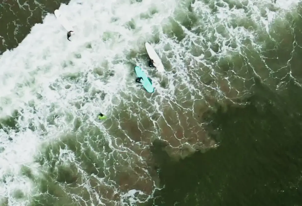 Halifax Surf School (Surf Shop)