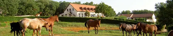 Area Des Garennes
