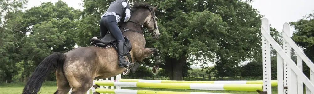 Urchinwood Manor Riding and Event Centre