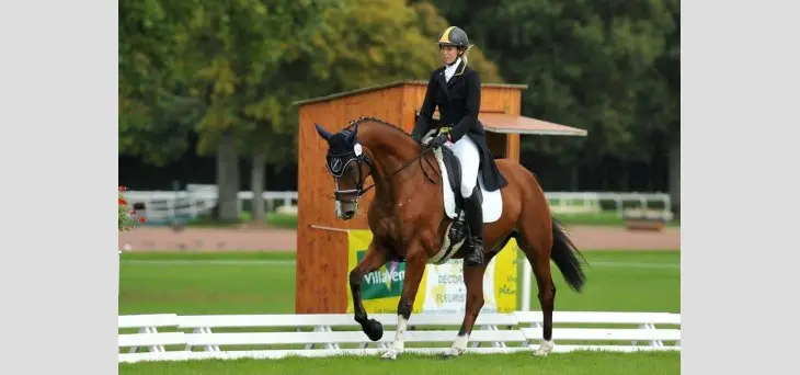 Ecuries Epona