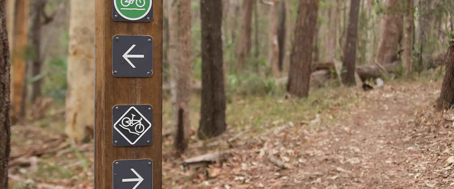Sugar Bag Road Mountain Bike Trails