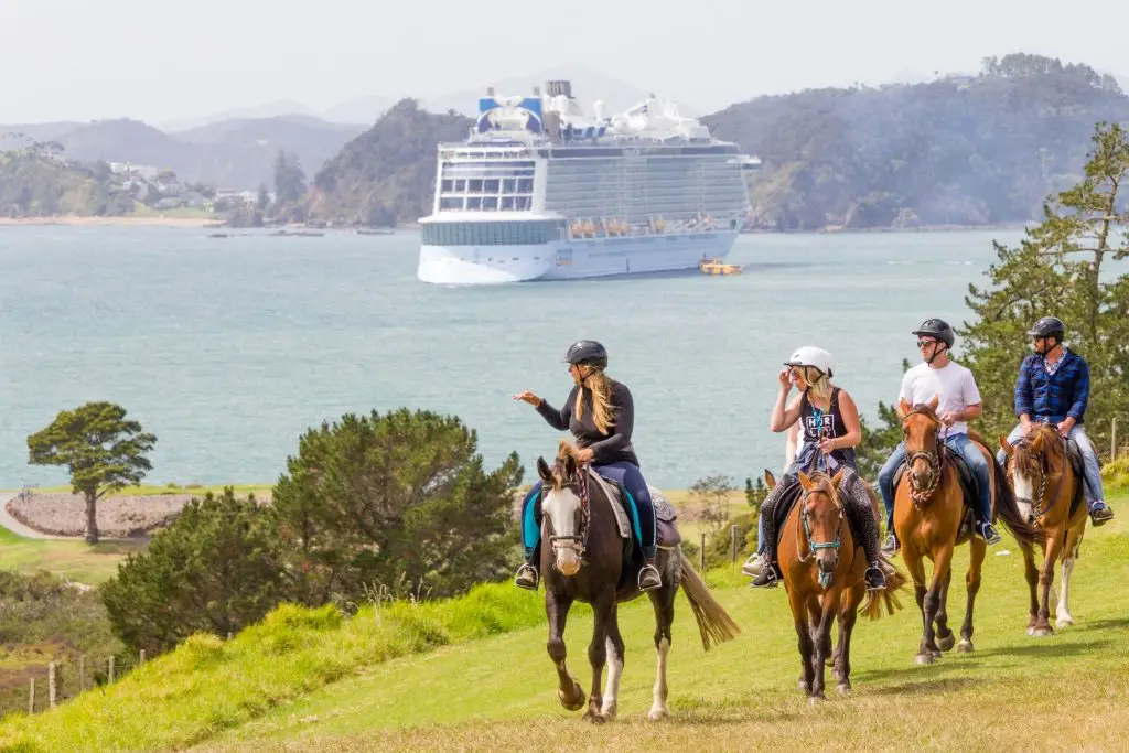 Horse Trek'n