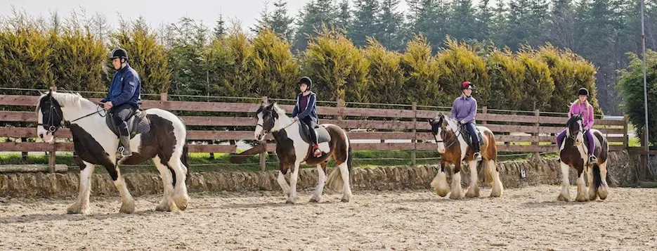 Remus Equestrian Centre Ltd