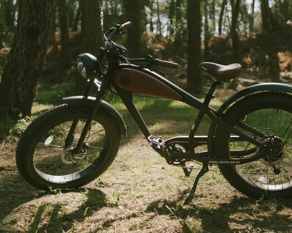 Bicicletta | Location vélo Anglet