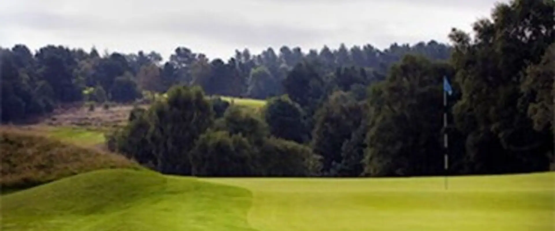 Beau Desert Golf Club