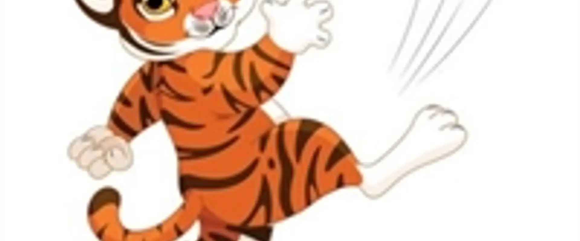 Tarragindi Tigers Football Club