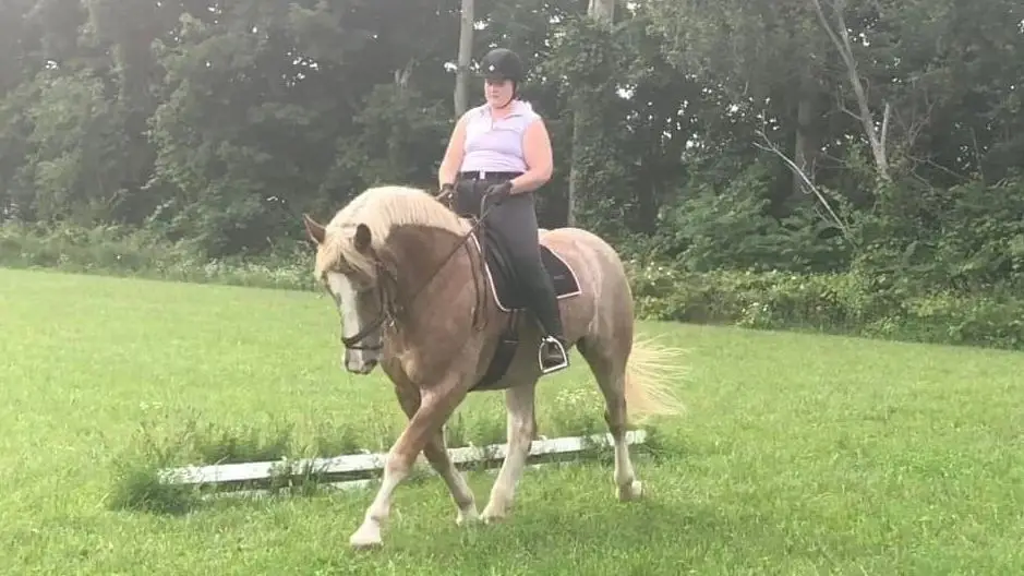 Rivendale Equestrian