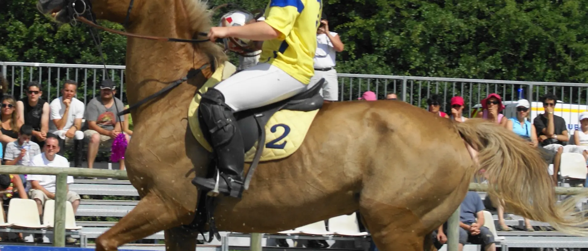 Sarl Club Hippique A Cheval Lypca Nadine