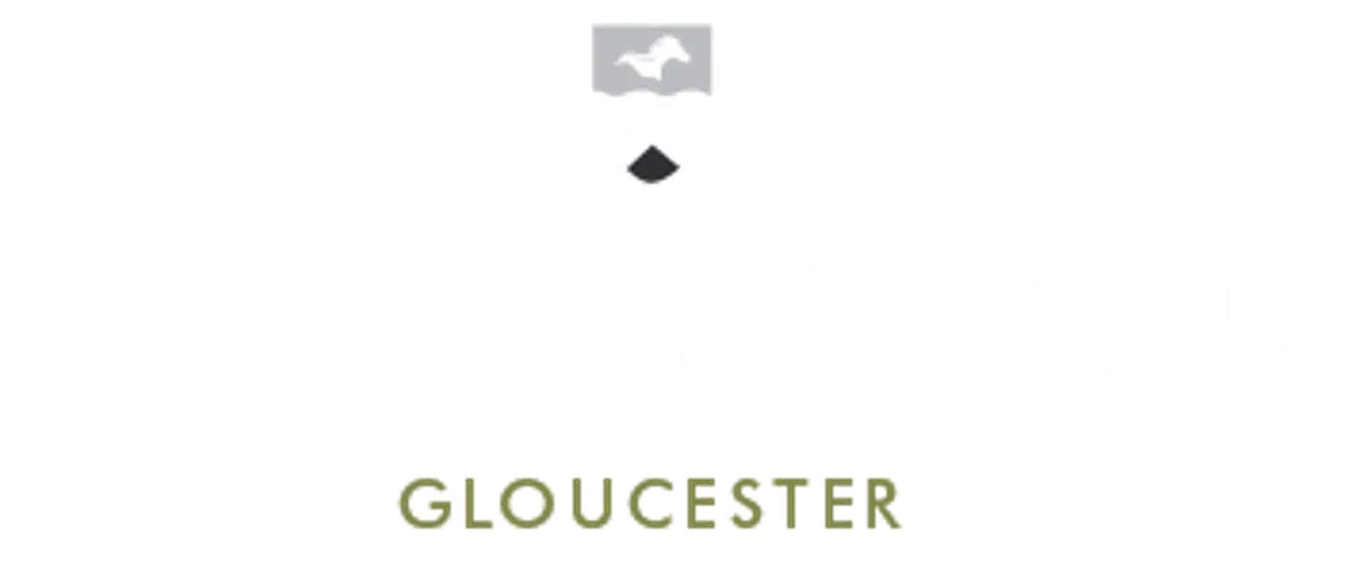 The Cheltenham Chase Leisure Club