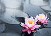 Planète Yoga