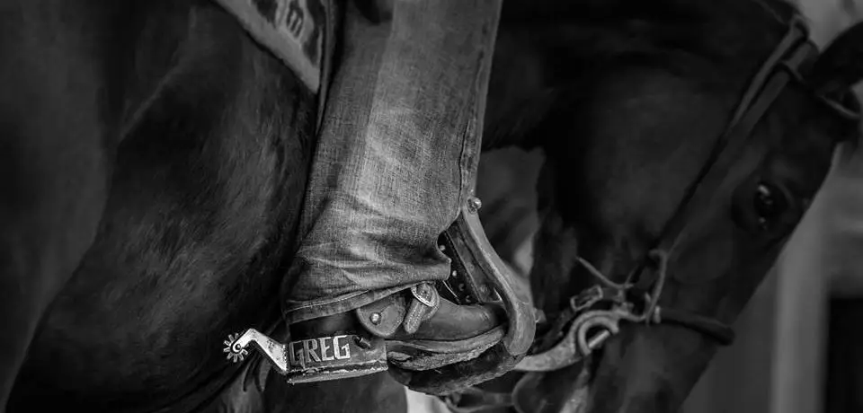 Gb Quarter Horse