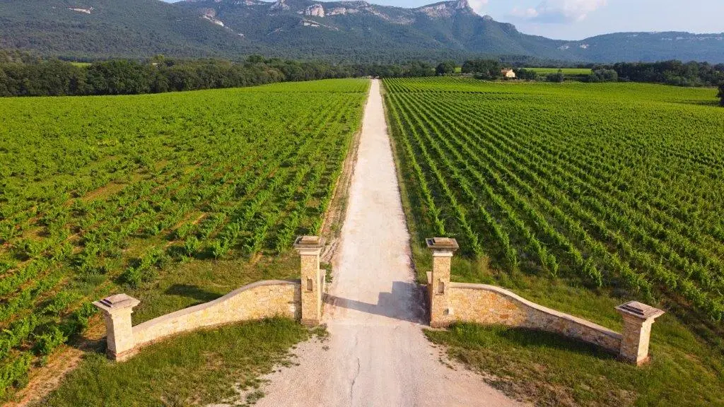 Château De Roquefeuille Area Wine - Mariages - Hébergements
