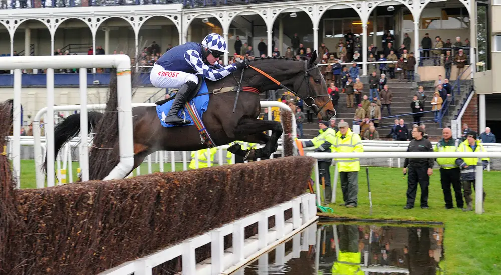 Emma Lavelle Racing