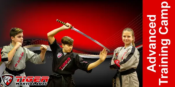 tiger martial arts quesnel