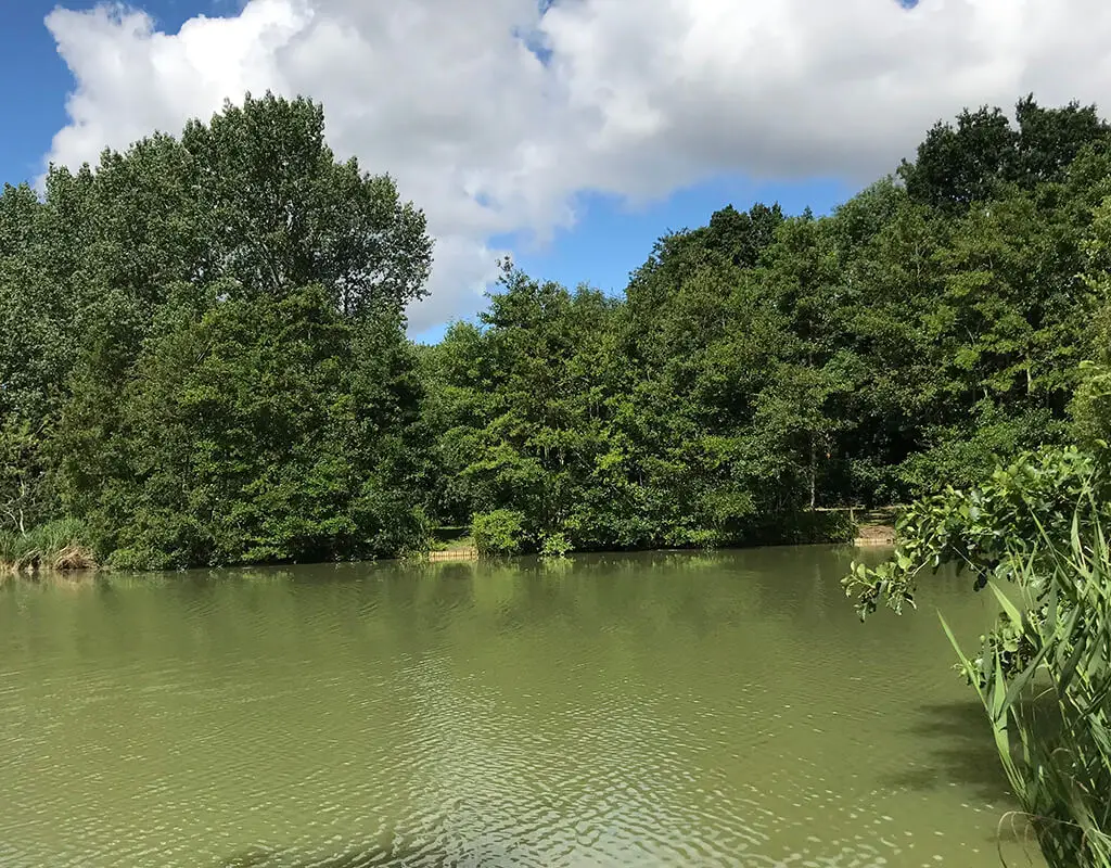 Chart Hill Lakes