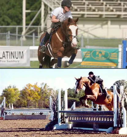 Bayview Equestrian Centre