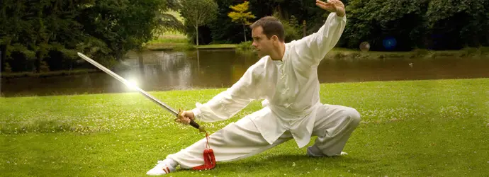 Dragon Martial Arts Association (kung fu and tai chi)