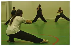 MEI HUA ZHUANG