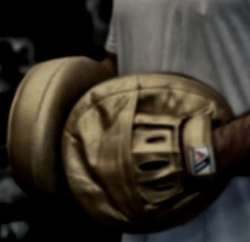 Counterpunch Boxing
