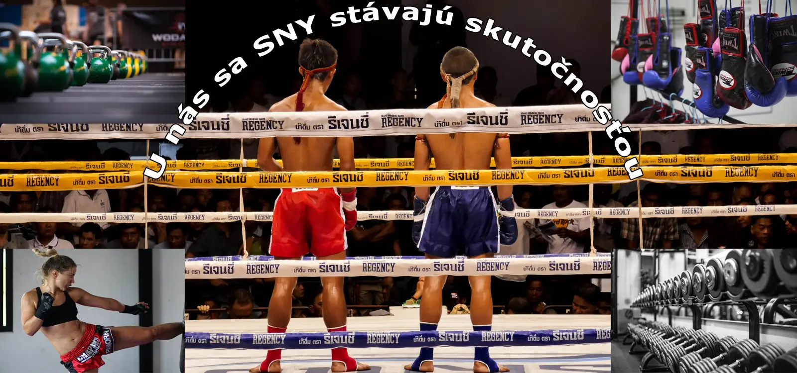 ATA fighting gym