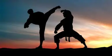 Professional Self Defence