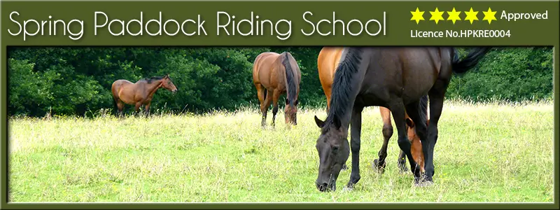 Spring Paddock