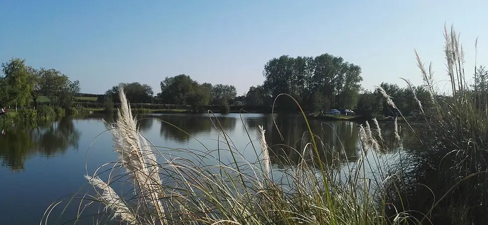 Riverside Fishery Bawtry Yorkshire
