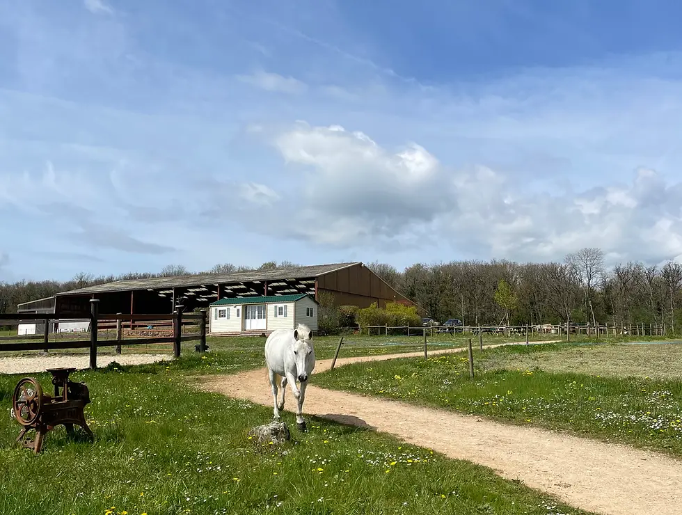 Poney Club de l'Autrot
