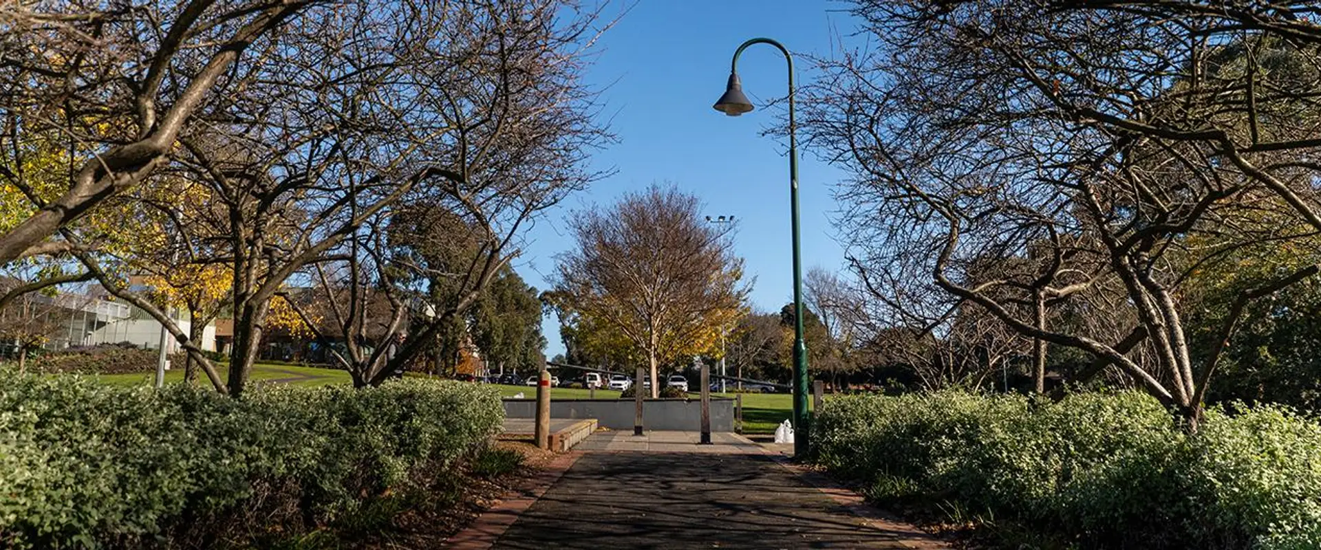 Forest Hill Reserve Basketball Court