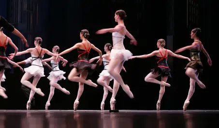 The Performance Academy