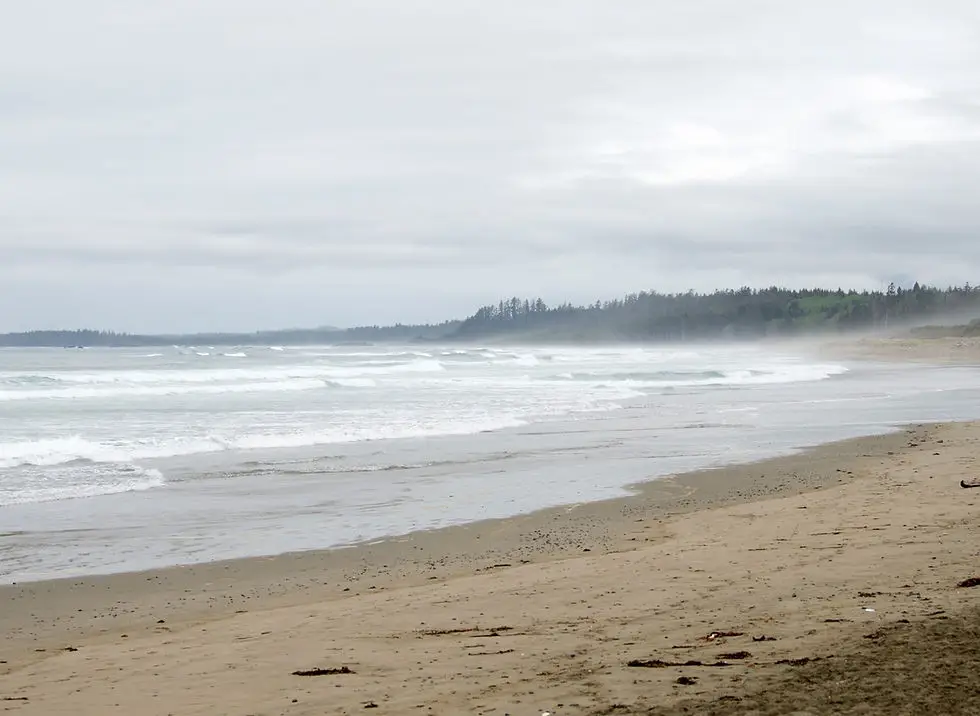 Wick'd Surf Camps