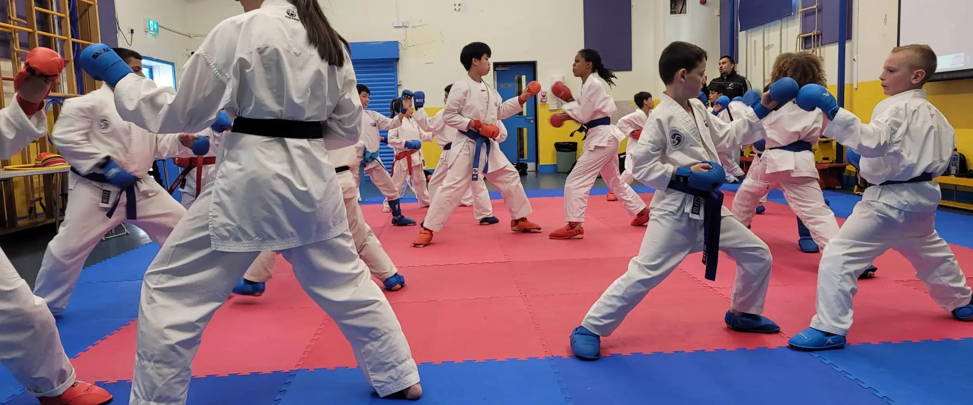 Forza Karate Club