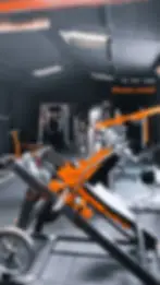 Gorilla Martial Arts