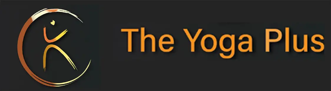 THE YOGA PLUS - best yoga studio in model town - yoga studio in delhi