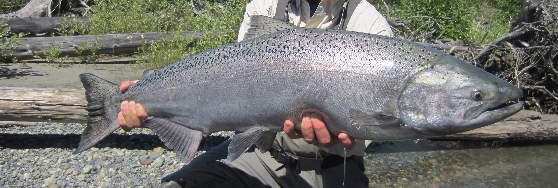 Wild Rivers Lodge
